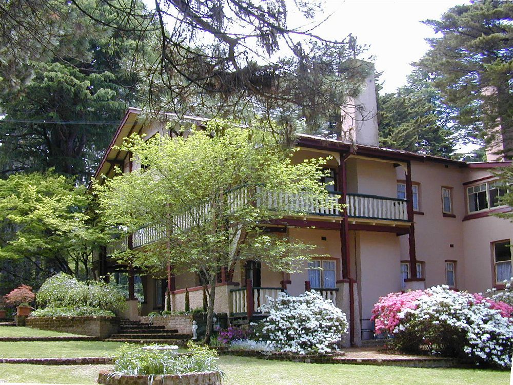Whispering Pines Cottages Wentworth Falls Eksteriør billede